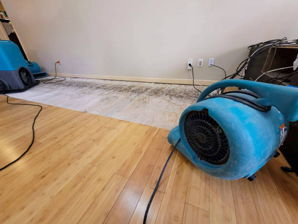 Professional Sewage Cleanup technician working in Cameron, WI